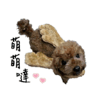 wumi（個別スタンプ：8）