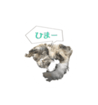 クイーンちゃん（個別スタンプ：14）