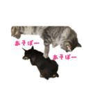 クイーンちゃん（個別スタンプ：16）