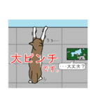 いろんな表情スタンプと猫（個別スタンプ：31）