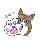 いろんな表情スタンプと猫（個別スタンプ：32）