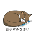 いろんな表情スタンプと猫（個別スタンプ：33）