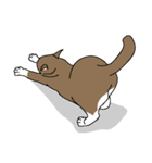 いろんな表情スタンプと猫（個別スタンプ：34）