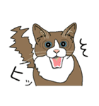 いろんな表情スタンプと猫（個別スタンプ：35）