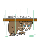 いろんな表情スタンプと猫（個別スタンプ：36）