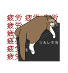 いろんな表情スタンプと猫（個別スタンプ：37）