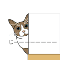 いろんな表情スタンプと猫（個別スタンプ：38）