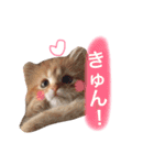 ラガマフィンのふーちゃん（個別スタンプ：2）