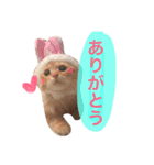 ラガマフィンのふーちゃん（個別スタンプ：3）