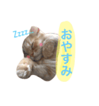 ラガマフィンのふーちゃん（個別スタンプ：6）