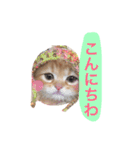 ラガマフィンのふーちゃん（個別スタンプ：10）