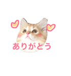 ラガマフィンのふーちゃん（個別スタンプ：22）