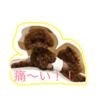 れいしゃん（個別スタンプ：1）