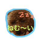 れいしゃん（個別スタンプ：2）