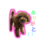 れいしゃん（個別スタンプ：3）