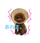 れいしゃん（個別スタンプ：7）