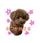 れいしゃん（個別スタンプ：8）