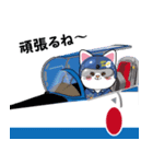 ブルーインパルスアニマルパイロット（個別スタンプ：18）
