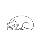 寡黙なねこ（個別スタンプ：34）