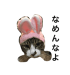 イケメンでぶ猫サスケの日常（個別スタンプ：4）