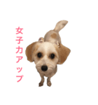アデルの気持ち（個別スタンプ：1）