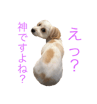アデルの気持ち（個別スタンプ：7）