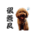 BB Lin（個別スタンプ：2）