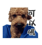 BB Lin（個別スタンプ：3）
