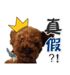 BB Lin（個別スタンプ：4）
