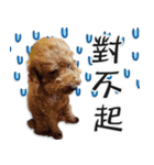 BB Lin（個別スタンプ：5）