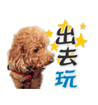 BB Lin（個別スタンプ：6）