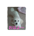 舞鶴弁クリ（個別スタンプ：1）