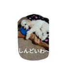舞鶴弁クリ（個別スタンプ：7）
