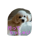 舞鶴弁クリ（個別スタンプ：9）