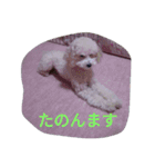 舞鶴弁クリ（個別スタンプ：13）