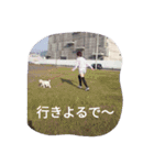 舞鶴弁クリ（個別スタンプ：16）