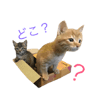 える＆こまめ（個別スタンプ：4）