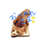 ねこといぬのすたんぷ（個別スタンプ：5）