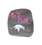 maro＆poh（個別スタンプ：2）