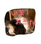 maro＆poh（個別スタンプ：8）