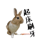 I'm MAJI（個別スタンプ：2）