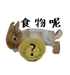 I'm MAJI（個別スタンプ：3）