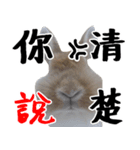 I'm MAJI（個別スタンプ：5）