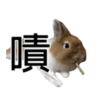 I'm MAJI（個別スタンプ：6）