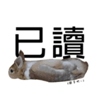 I'm MAJI（個別スタンプ：7）