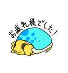 カメのクリリ（個別スタンプ：6）
