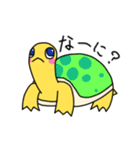 カメのクリリ（個別スタンプ：8）
