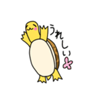カメのクリリ（個別スタンプ：20）