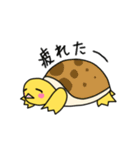 カメのクリリ（個別スタンプ：25）