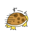 カメのクリリ（個別スタンプ：30）
